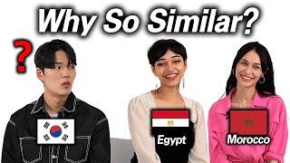 Asian Guy Never Expected that Arabic Countries Understand Each Other Morocco Egypt