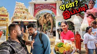 சிங்களவர்கள் படையெடுக்கும் தமிழ் கோயில்கள் கதிர்காமம் மாறிப்போச்சு All Ceylon Tamil Vlogs