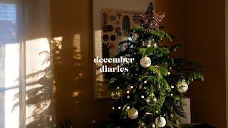 the holiday blues — december diaries