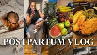 VLOG Baby Turns 1 Month HUGE Grocery Haul + Healthy Dinner Ideas