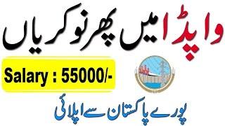 WAPDA Jobs 2024 - Latest Advertisement For Male & Female -Online Apply