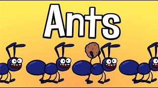 Ants Song  - Funny kids song - Family song  Hooray Kids Songs & Nursery Rhymes