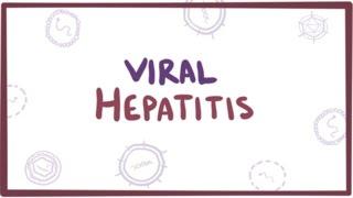 Viral hepatitis A B C D E - causes symptoms diagnosis treatment & pathology