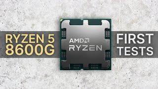 Ryzen 5 8600G vs 7600 vs 5600G vs Core i5-12600KKF vs i3-13100F first tests