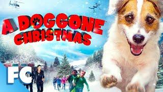 A Doggone Christmas  Full Movie  Family Dog Adventure  Just Jesse the Jack Russell Terrier  FC