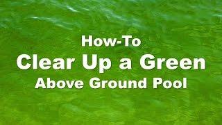 Clearing Up a Green Above Ground Pool Step-by-Step