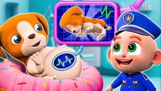 My PET Got Pregnant Song   Pet Care Skill For Baby   + More Nursery Rhymes For Kids