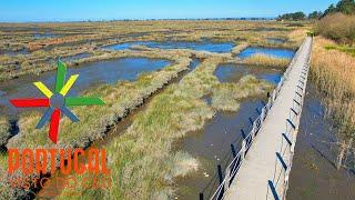 Passadiços da Ria de Aveiro último troço Esgueira  Ria de Aveiro Walkways  4K UltraHD