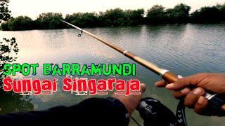Spot Barramundi di Sungai Singaraja Indramayu