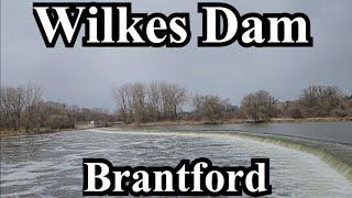 Spring Equinox Walk Along Wilkes Dam Trail - Brantford Ontario Canada 8k Video