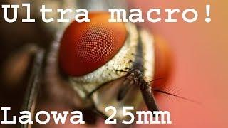 Laowa 25mm f2.8 Ultra Macro 5x lens review