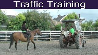 Traffic Training - Teach Your Horse to Stay Calm Whatever You Meet