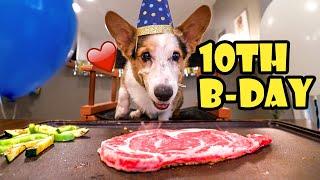 BENIHANA BBQ for My Corgis 10th Birthday  Life After College Ep. 768