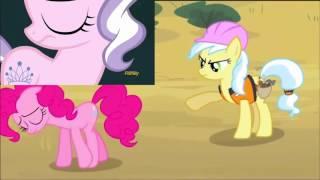 The Pony I Want To Be & Pinkies Lament COMBINED