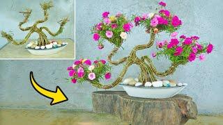 Unique gardening ideas  Make beautiful bonsai pots from moss roses for Garden