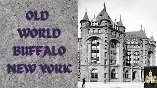 Old World Buffalo