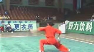 Wushu Yuan Wen Qing - Broadsword Daoshu