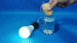 How to generate free electricity from potato at home  Simple Tips