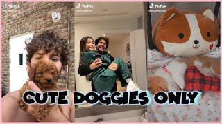 CUTE DOGGIES ONLY TIK TOK COMPILATION