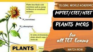 LIVSCIENCE EVS SESSION  - PLANTS  MCQS - ALL PYQS - HTETCTETMPTET 2024