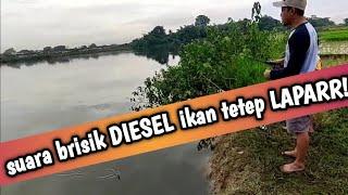 SPOT MANCING LIAR sindangmulya cibarusah  danau pangkalan pasir part2