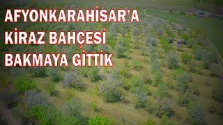  Kiraz Diyarı - The Cherry Land - 04.05.2019