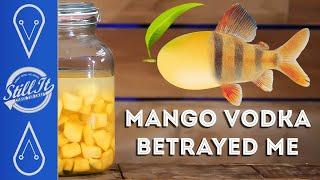 When Making Mango Vodka Goes Wrong