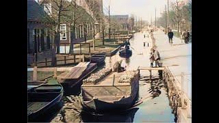 The wonderful town of Aalsmeer capital of the Dutch flower trade in 1930 in color A.I. colorized