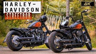 Thunderbike Doubles - customized Harley-Davidson Street Bob    4K