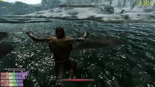 Skyrim speedrun to kill the ebony warrior 1147