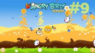 Angry Birds Seasons #9 Summer pignic