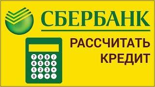 Как рассчитать кредит Сбербанка с помощью калькулятора? Рассчитываем кредит на ипотеку авто и др.