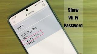 How to show Wi-Fi Password using your Phone  NETVN