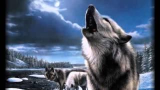 Халық күйі Қасқыр - Народная музыка - Волк Wolf