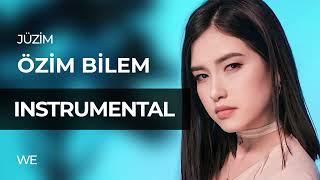 JUZIM - OZIM BILEM  INSTRUMENTAL