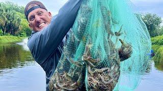 We Caught Millions of Shrimp in ONE cast of the net {Catch Clean Cook} Guatemala