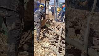 Wood crushing#tool #machinery #shorts