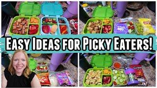 Lunch Box School Lunches  Picky Eater Approved