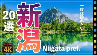 新潟県観光スポット20選～星峠・美人林・中子の桜・枝折峠・高田城の桜など　（Niigata viewspot Select22