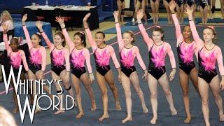 Whitney Bjerken  5th Level 8 Gymnastics Meet  New Team