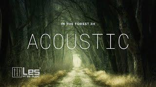  Study Sleep Relax  In The Forest 3H  - Acoustic Background Music Royalty Free Lesfm