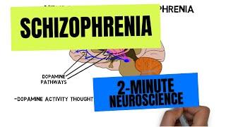 2-Minute Neuroscience Schizophrenia