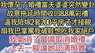 我懷孕了 婚禮當天婆婆突然變卦，故意拖延時間收回8.8萬彩禮，逼我陪嫁2套200平房子才接親，扇我巴掌罵我破鞋想吃我家絕戶，我氣消了當場取消婚禮，上去一腳讓她認清現實！ 悅讀茶坊  爽文  情感