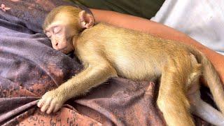 Cute BiBi Nap with Dad & afternoon walk in the garden