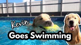 Kevin Goes Swimming