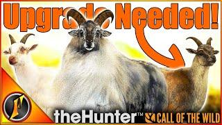 The Hunt for a Tahr Upgrade Begins + Diamond Yak  theHunter Call of the Wild