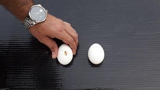 How to boil broken Egg safely  in 2 ways