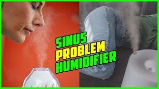 TOP 5 Best Humidifier for Sinus Problems 2023
