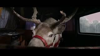 Reindeer Van Fart