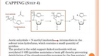 Synthesis of DNA Oligonucleotides